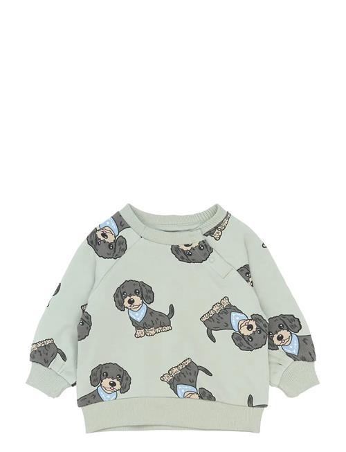 The New | Tnsbsofus Sweatshirt | 80