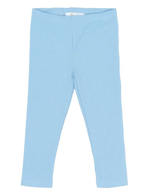 The New | Tnstrianna Rib Leggings | 98