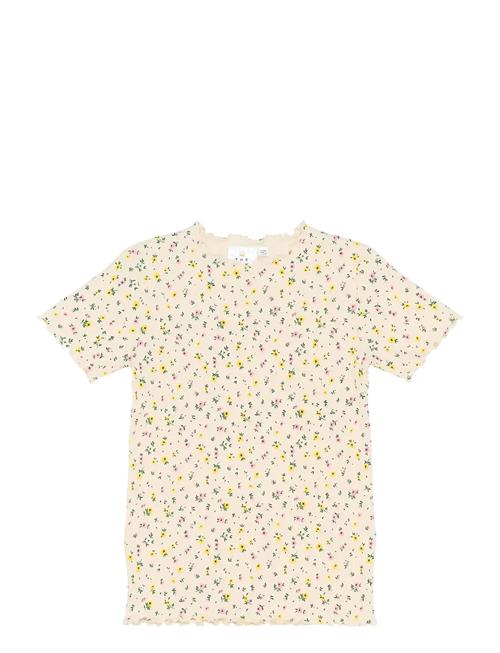 The New | Tnsummer S_S Rib Tee | 158/164