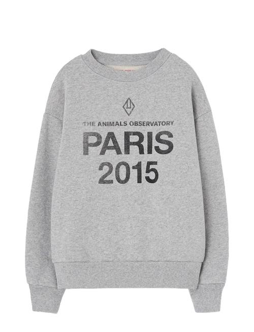 THE ANIMALS OBSERVATORY | Sun Frey Bear Sweatshirt | 6 Y