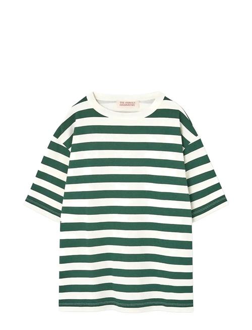 THE ANIMALS OBSERVATORY | Stripes Freen Collie T-Shirt | 10 Y