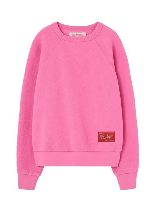 THE ANIMALS OBSERVATORY | Brifht Pink Shark Sweatshirt | 6 Y
