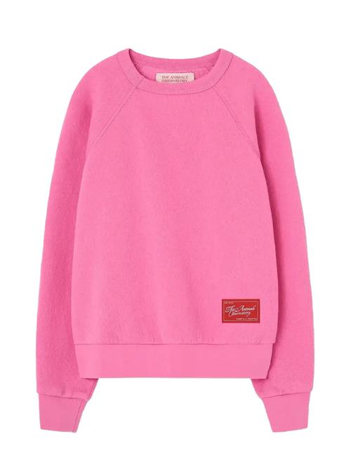 THE ANIMALS OBSERVATORY | Brifht Pink Shark Sweatshirt | 14 Y