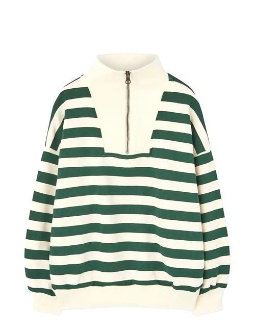 THE ANIMALS OBSERVATORY | Stripes Freen Blowfly Sweatshirt | 8 Y