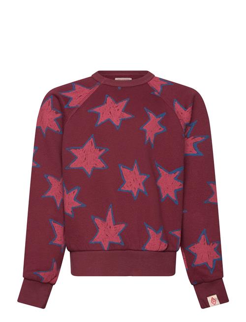THE ANIMALS OBSERVATORY | Stars Shark Sweatshirt | 8 Y