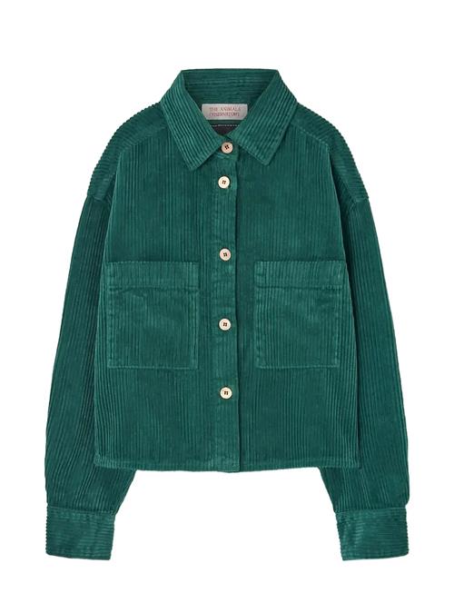 THE ANIMALS OBSERVATORY | Freen Beabull Shirt | 6 Y