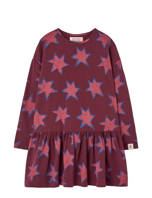 THE ANIMALS OBSERVATORY | Stars Macaw Dress | 8 Y