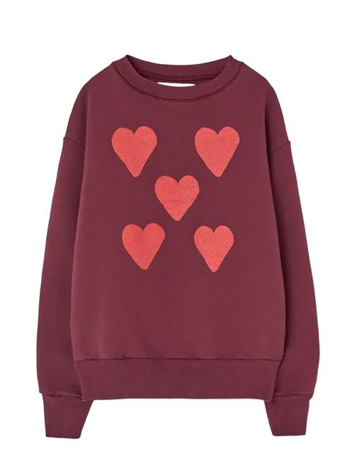THE ANIMALS OBSERVATORY | Hearts Browned Farnet Bear Sweatshirt | 6 Y