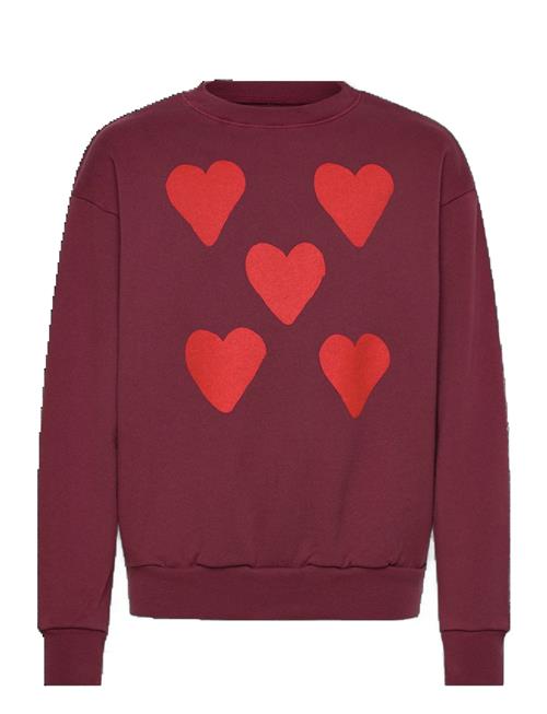 THE ANIMALS OBSERVATORY | Hearts Browned Farnet Bear Sweatshirt | 12 Y
