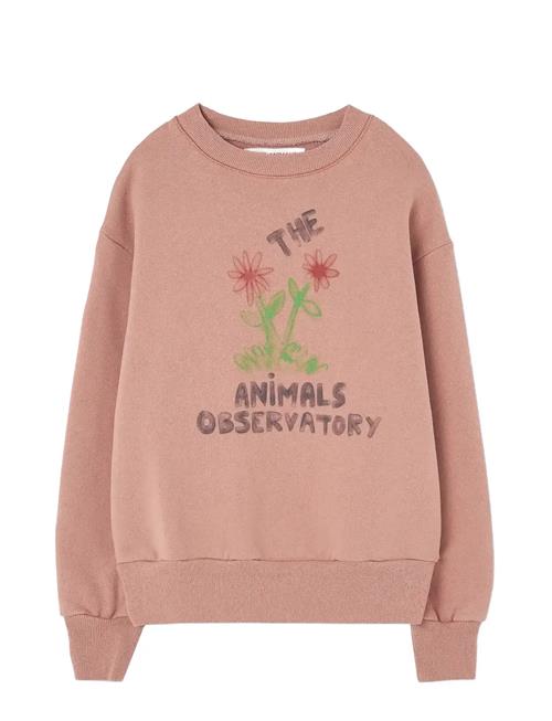 THE ANIMALS OBSERVATORY | Flowers Dusty Coral Bear Sweatshirt | 6 Y