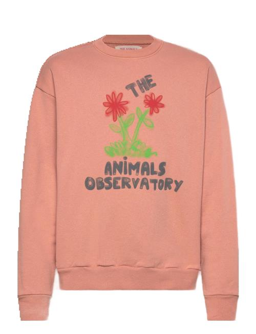 THE ANIMALS OBSERVATORY | Flowers Dusty Coral Bear Sweatshirt | 12 Y