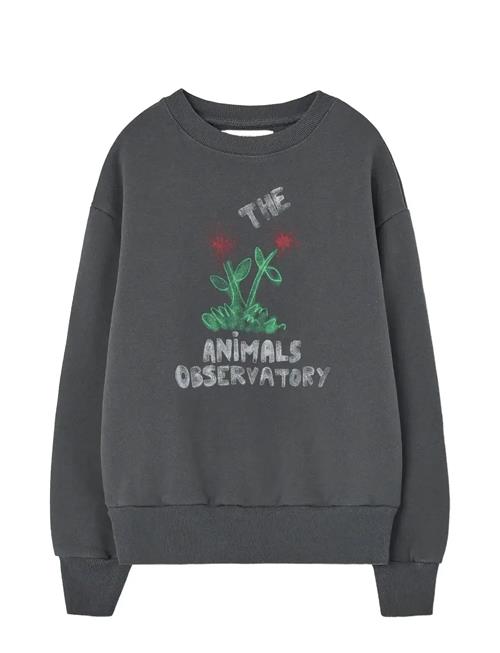 THE ANIMALS OBSERVATORY | Flowers Dark Frey Bear Sweatshirt | 6 Y