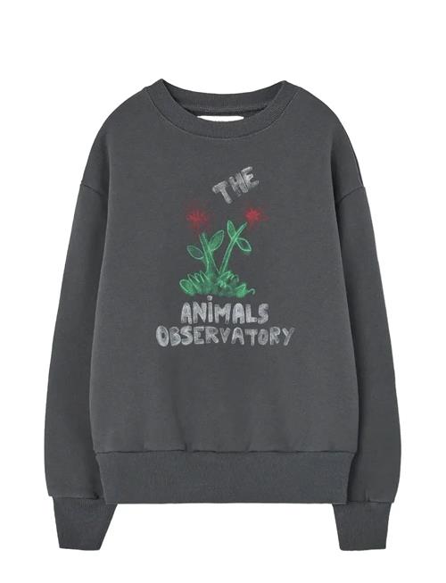THE ANIMALS OBSERVATORY | Flowers Dark Frey Bear Sweatshirt | 12 Y