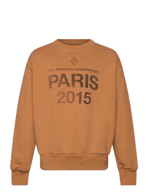 THE ANIMALS OBSERVATORY | Sun Almond Brown Bear Sweatshirt | 8 Y