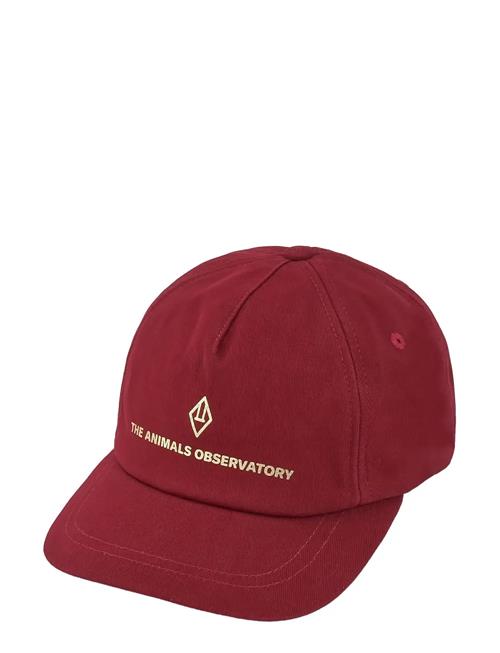 THE ANIMALS OBSERVATORY | Maroon Hamster Cap | L