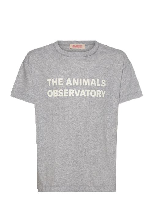 THE ANIMALS OBSERVATORY | Frey Orion T-Shirt | 12 Y