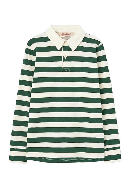 THE ANIMALS OBSERVATORY | Stripes Freen Eel Polo Shirt | 6 Y