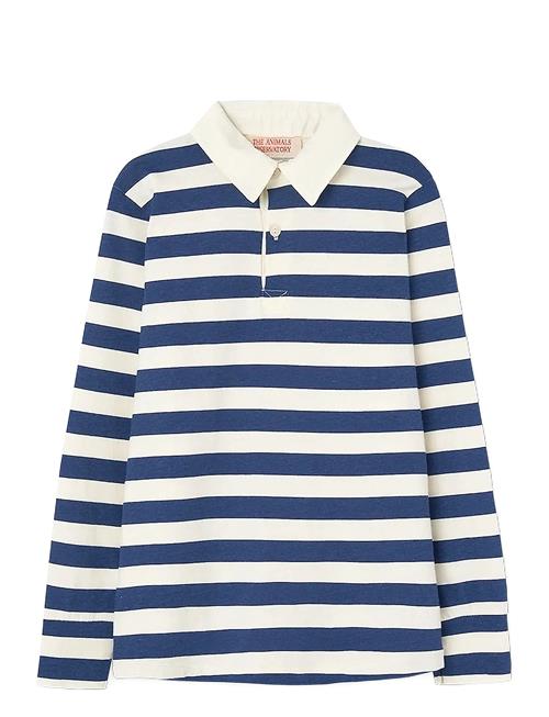 THE ANIMALS OBSERVATORY | Stripes Navy Eel Polo Shirt | 12 Y