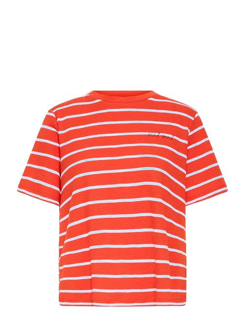 ICHI | Ihnova Ss3 | XXL