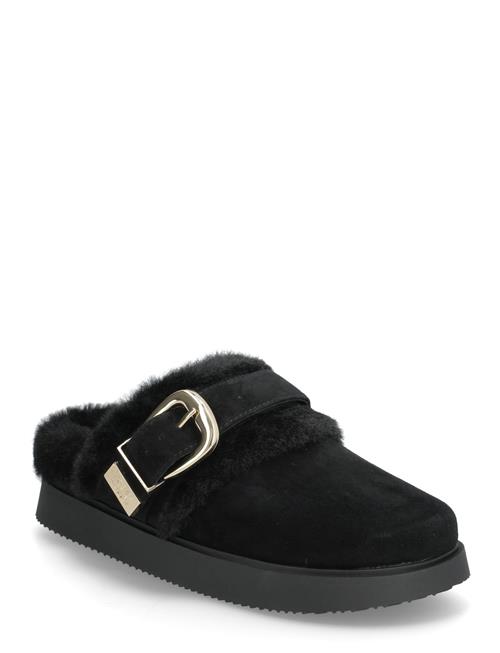 Steve Madden | Cozy Up | 41