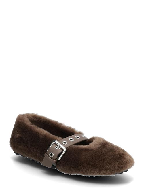 Steve Madden | Toasty | 38