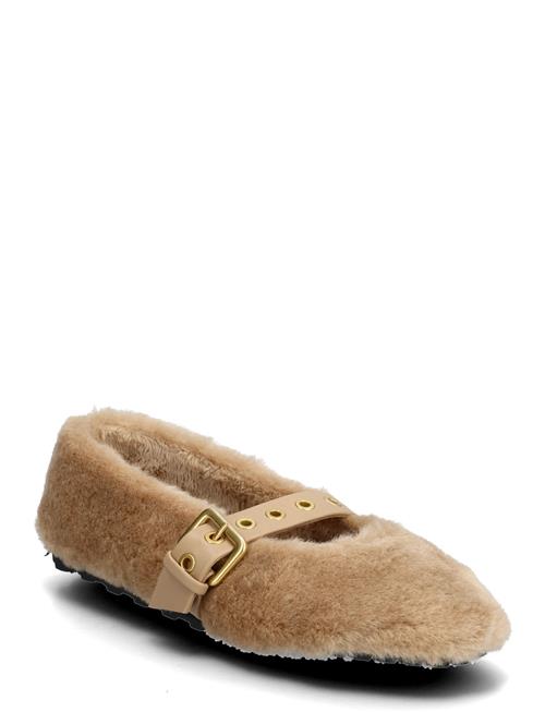 Steve Madden | Toasty | 41