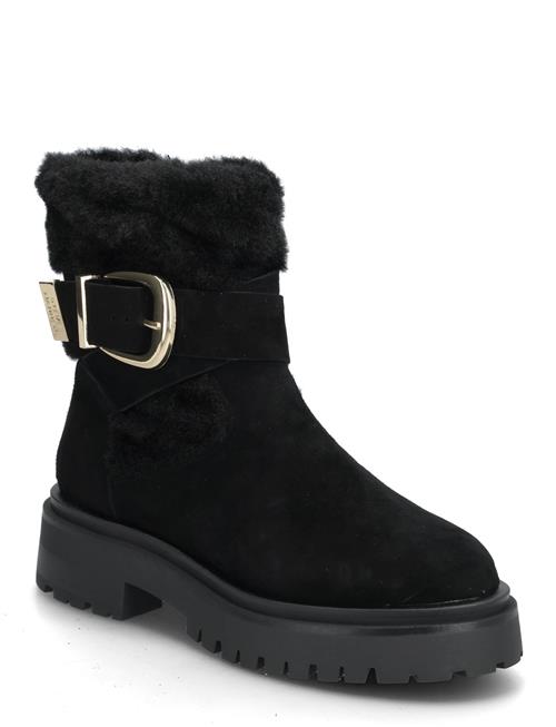 Steve Madden | Lodge | 41