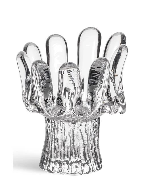 Kosta Boda | Solros 115Mm | H11.5CM