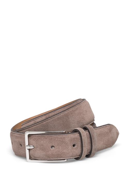 Saddler | Robin | 85 CM