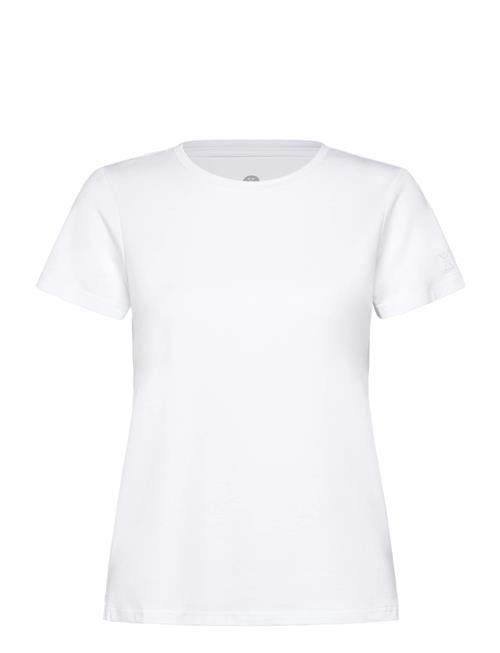 JBS of Denmark | Jbs Of Dk Basic Tee. | M