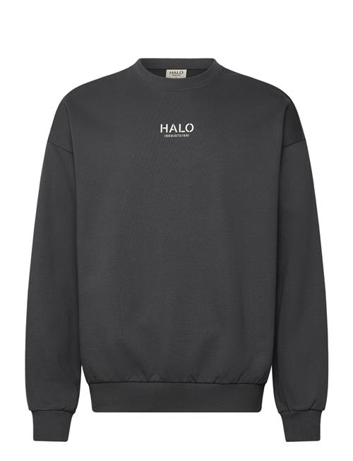 HALO | Halo Graphic Boxy Crew | XS