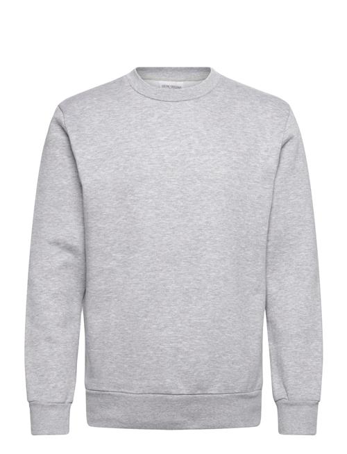 Shine Original | Crew Neck Sweat | XXXL
