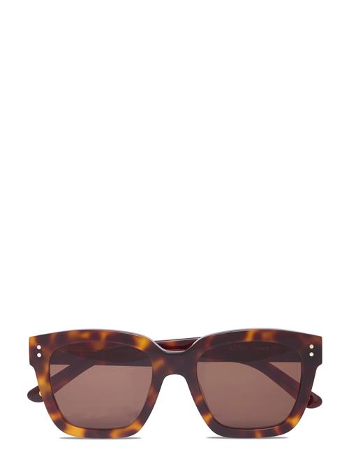 Corlin Eyewear | Modena Tortoise Brown | ONE/SIZE