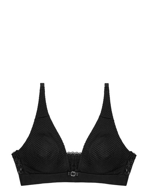 Triumph | Aura Spotlight N | C x 80