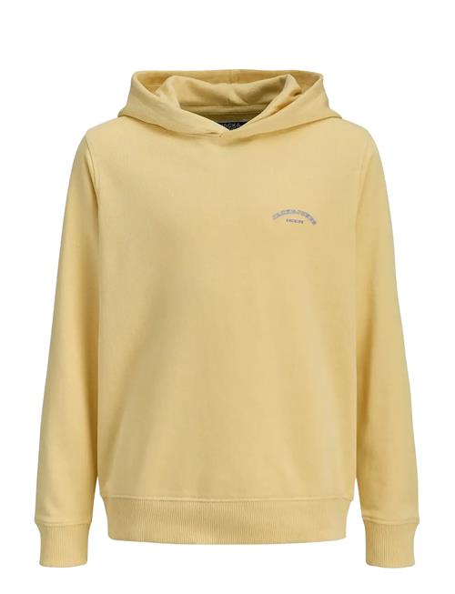 Jack & Jones | Jjcollege Logo Sweat Hood Jnr | 140
