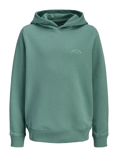 Jack & Jones | Jjcollege Logo Sweat Hood Jnr | 152