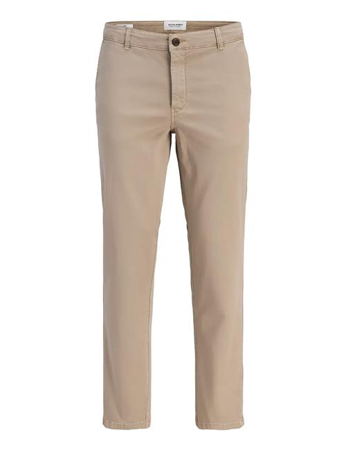 Jack & Jones | Jpstollie Vance Chino Noos | 30 x 32