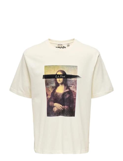 ONLY & SONS | Onsmonalisa Rlx Ss Lic Tee Vd | M