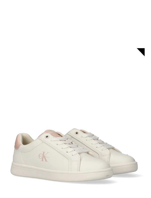 Calvin Klein | Calvin Klein Low Cut Lace-Up Sneaker | 32