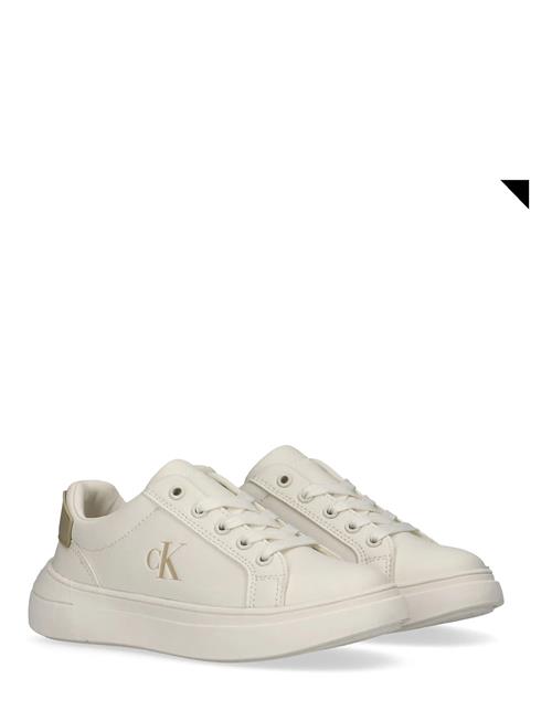 Calvin Klein | Calvin Klein Low Cut Lace-Up Sneaker | 32