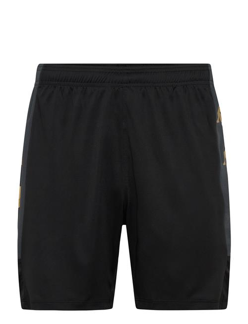 KAPPA | Km - Gondo | XL