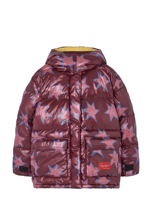 THE ANIMALS OBSERVATORY | Lemur Kid Puffer Jacket Maroon | 4 Y