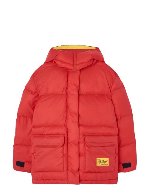 THE ANIMALS OBSERVATORY | Lemur Kid Puffer Jacket Maroon | 4 Y