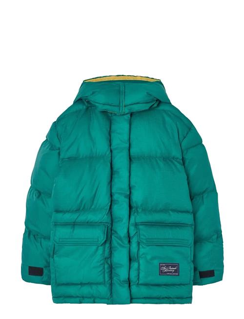 THE ANIMALS OBSERVATORY | Lemur Kid Puffer Jacket Maroon | 8 Y