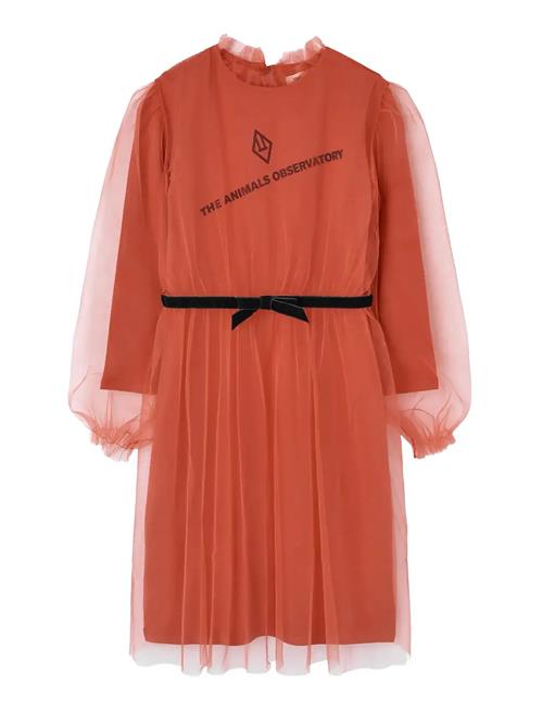 THE ANIMALS OBSERVATORY | Tulle Tortoise Kid Midi Dress Red | 8 Y