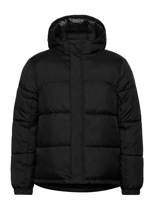 Jack & Jones | Jcounion Puffer Jacket Sn | XL