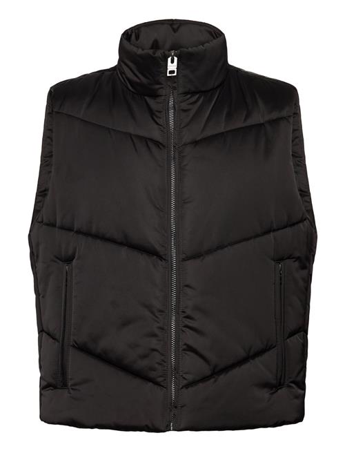 HUGO | Berolino2531 | L