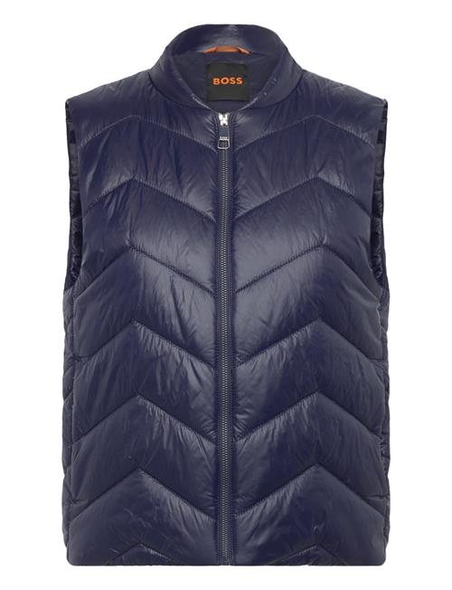 BOSS | C_Palattini | 36