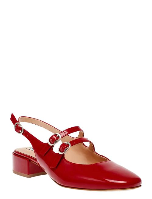 Steve Madden | City View | 37