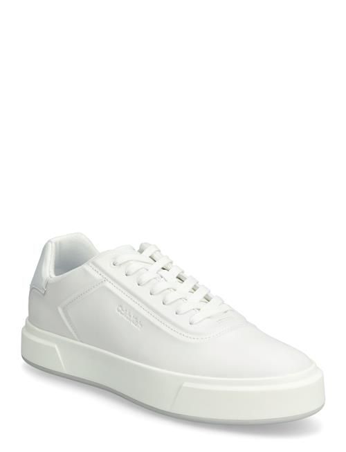 Calvin Klein | Basket Cups Oxf Lup Hf Lth | 41